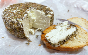 JARA - Queso láctico fresco 