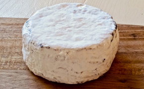 RETAMA - Queso láctico madurado