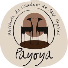 Asociación de Criadores de Raza Payoya