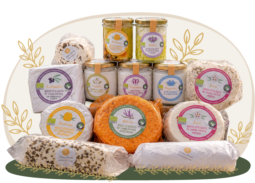 Bodegón de productos