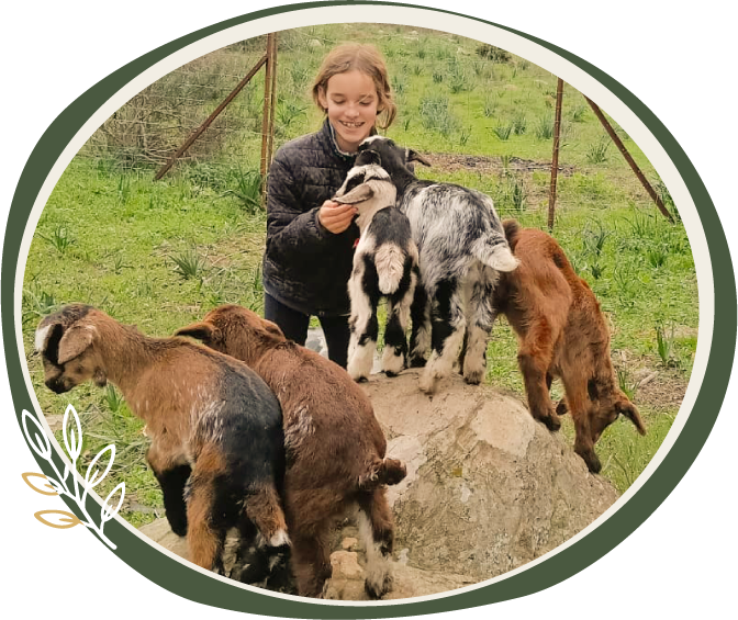 Experiencias en la granja