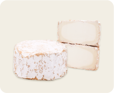 Productos Retama Retama - Queso ecológico de cabra payoya madurado
