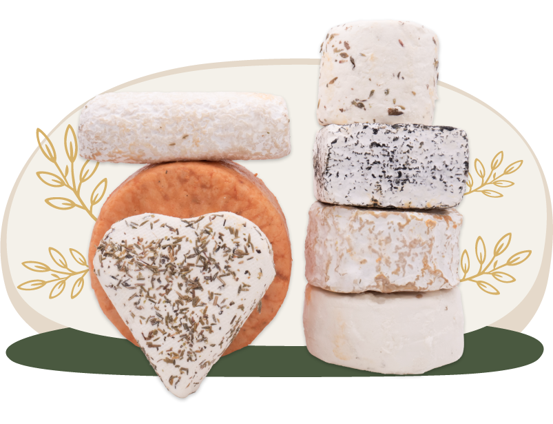 Queso artesanal y ecológico de cabra Payoya